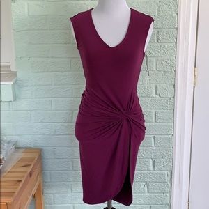 NWT Velvet stretchy dress purple/plum XS